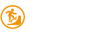 Skatepark Design